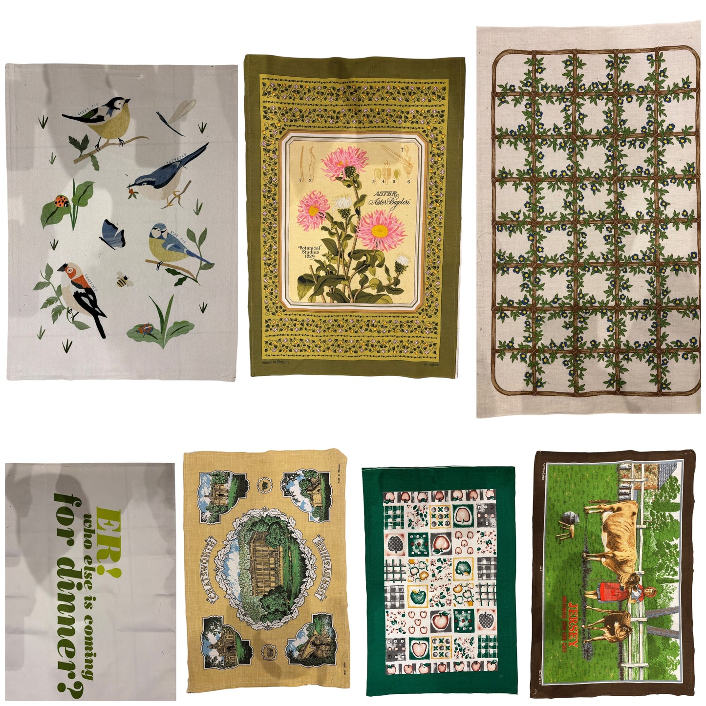 Chatsworth and Jersey Cows!