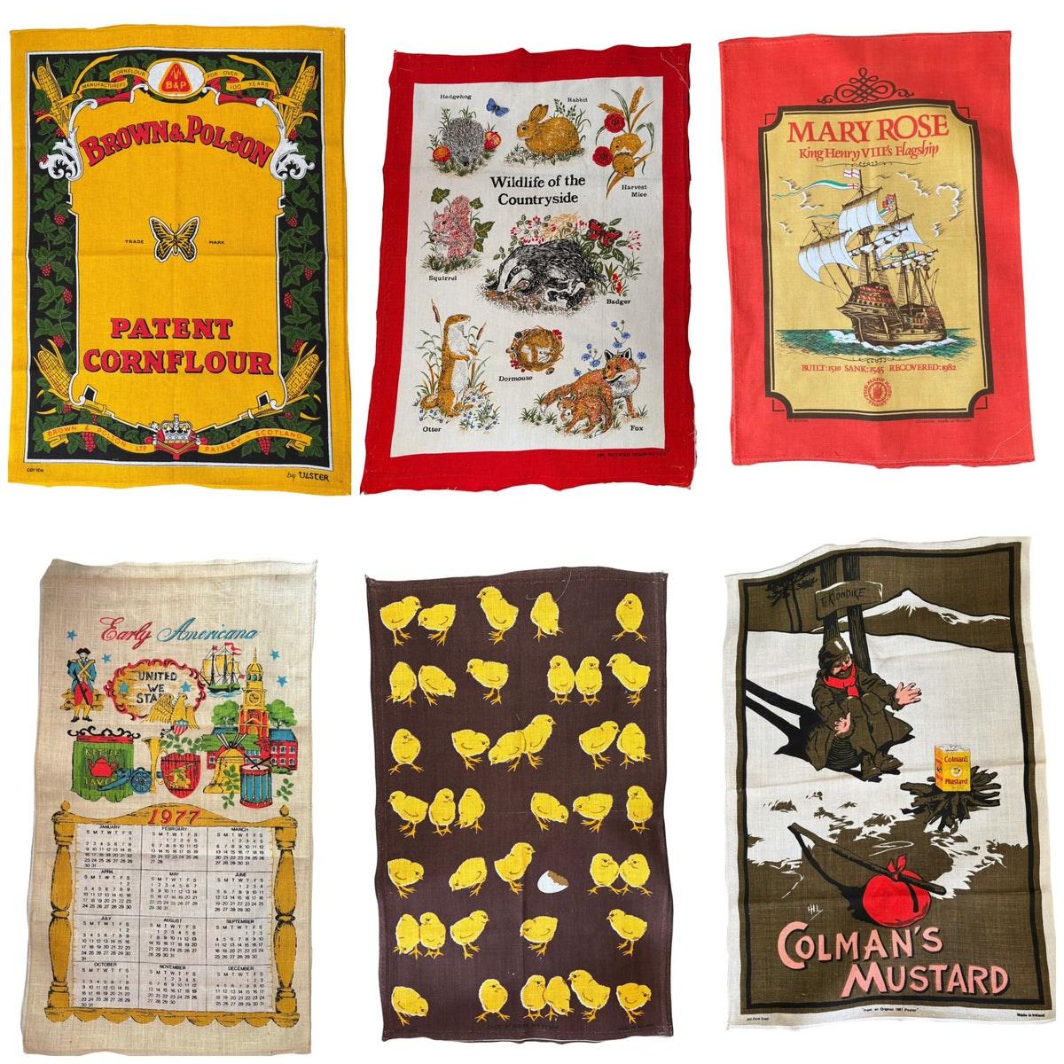 Mary Rose, Coleman’s Mustard