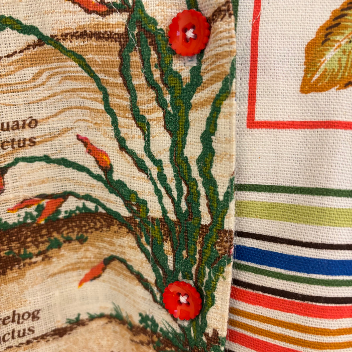 Pound Note, Buses and Cacti