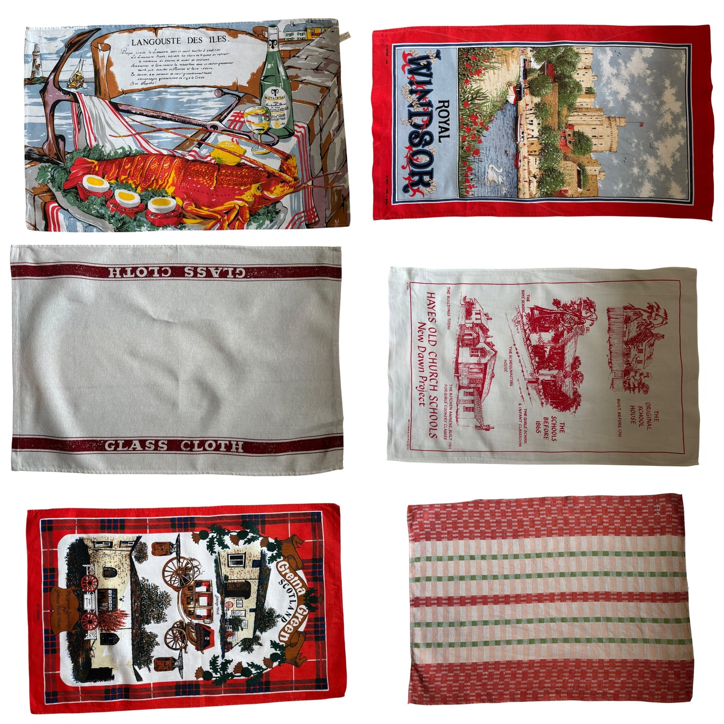 One size tea-shirt “Lobster in Windsor”