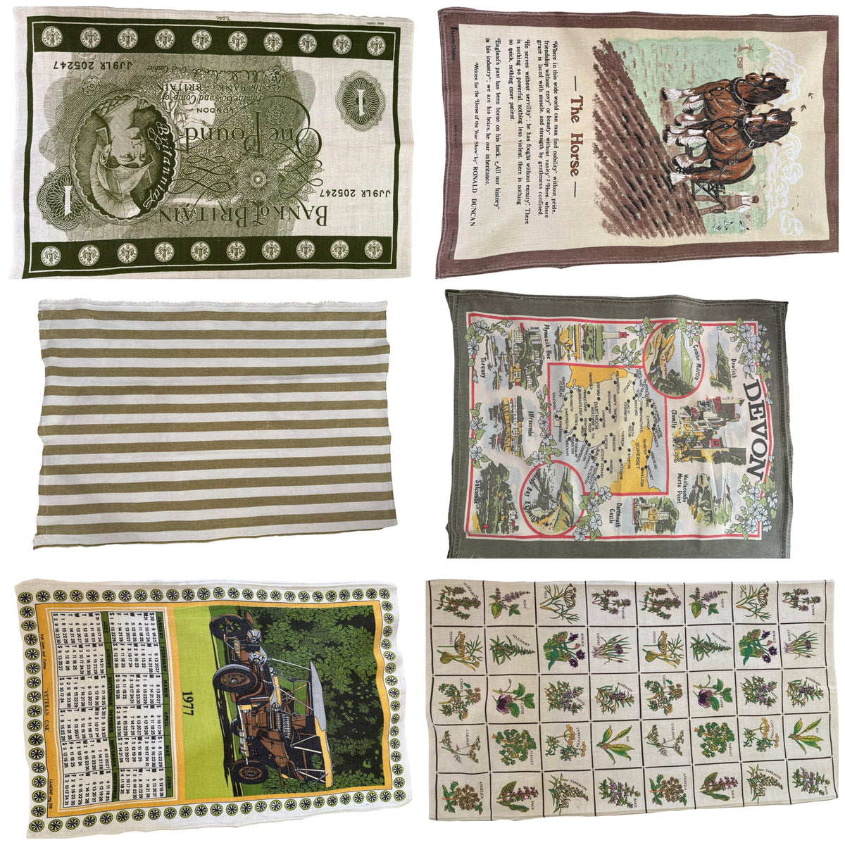 Pound Note, Horses, Herbs