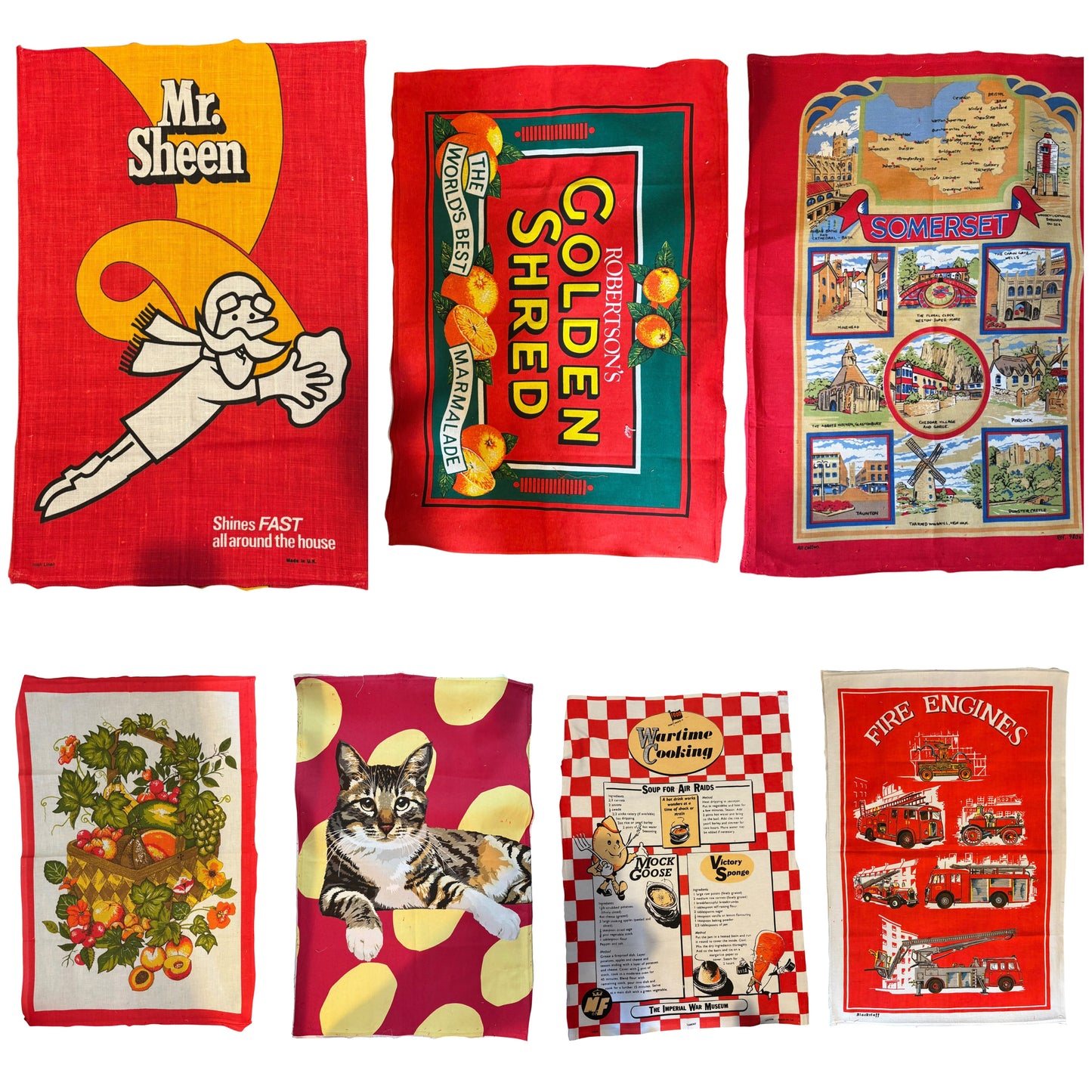 Cat, Marmalade and Fire Engines